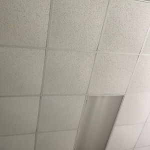 Meet your Posher, Max